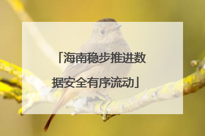 海南稳步推进数据安全有序流动