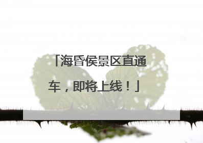 海昏侯景区直通车，即将上线！
