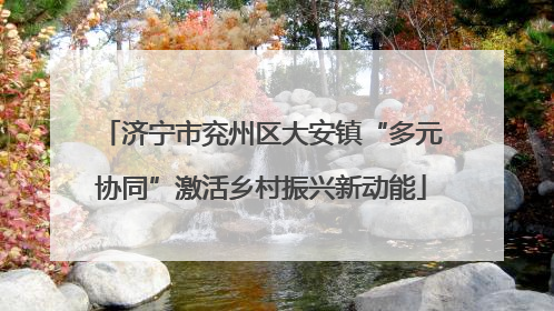 济宁市兖州区大安镇“多元协同”激活乡村振兴新动能