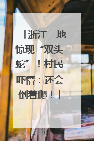 浙江一地惊现“双头蛇”！村民吓懵：还会倒着爬！