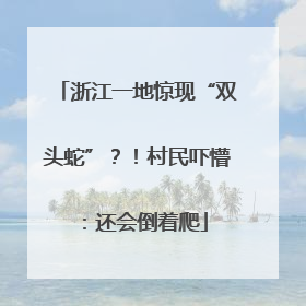 浙江一地惊现“双头蛇”？！村民吓懵：还会倒着爬
