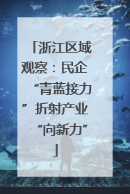 浙江区域观察：民企“青蓝接力”折射产业“向新力”