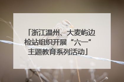 浙江温州、大麦屿边检站组织开展“六一”主题教育系列活动