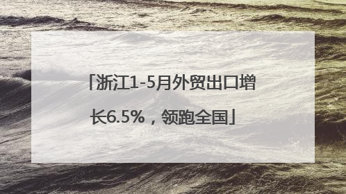 浙江1-5月外贸出口增长6.5%，领跑全国