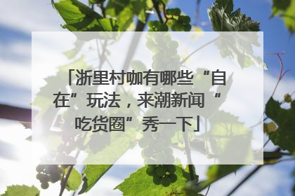浙里村咖有哪些“自在”玩法，来潮新闻“吃货圈”秀一下