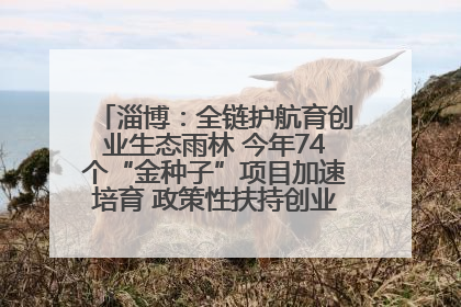 淄博：全链护航育创业生态雨林 今年74个“金种子”项目加速培育 政策性扶持创业9754人