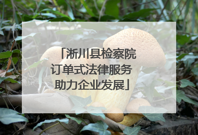 淅川县检察院订单式法律服务助力企业发展