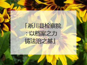 淅川县检察院：以档案之力 铸法治之基
