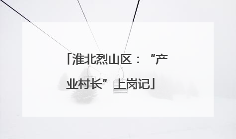 淮北烈山区：“产业村长”上岗记