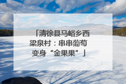 清徐县马峪乡西梁泉村：串串葡萄变身“金果果”
