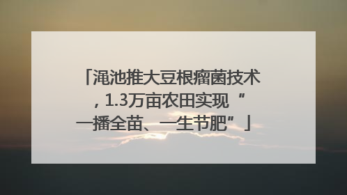 渑池推大豆根瘤菌技术，1.3万亩农田实现“一播全苗、一生节肥”