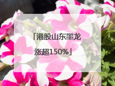 港股山东墨龙涨超150%