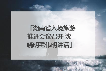 湖南省入境旅游推进会议召开 沈晓明毛伟明讲话