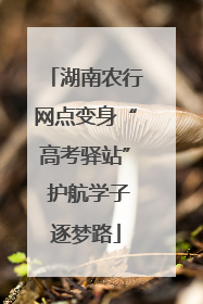 湖南农行网点变身“高考驿站” 护航学子逐梦路