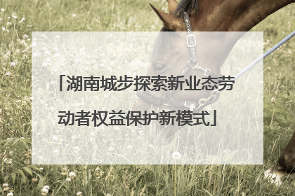湖南城步探索新业态劳动者权益保护新模式