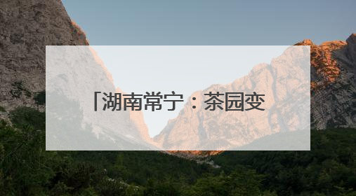 湖南常宁：茶园变课堂 学生采茶忙