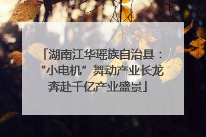 湖南江华瑶族自治县：“小电机”舞动产业长龙 奔赴千亿产业盛景