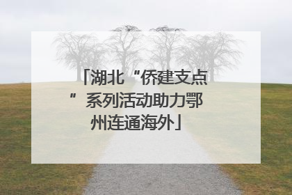 湖北“侨建支点”系列活动助力鄂州连通海外