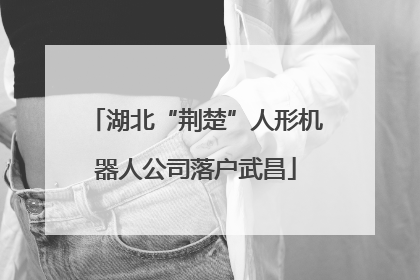 湖北“荆楚”人形机器人公司落户武昌