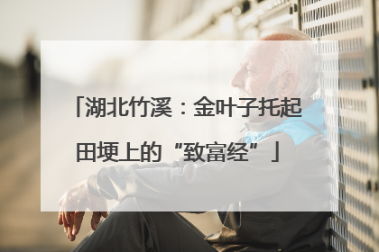 湖北竹溪：金叶子托起田埂上的“致富经”