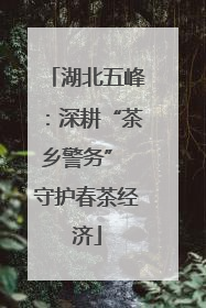 湖北五峰：深耕“茶乡警务” 守护春茶经济
