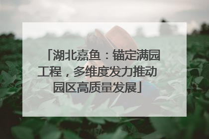 湖北嘉鱼：锚定满园工程，多维度发力推动园区高质量发展