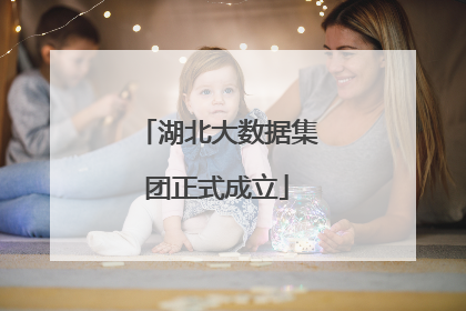 湖北大数据集团正式成立