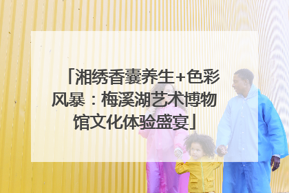 湘绣香囊养生+色彩风暴：梅溪湖艺术博物馆文化体验盛宴