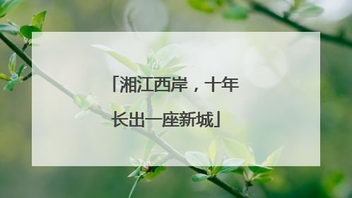 湘江西岸，十年长出一座新城