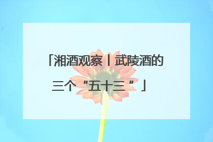 湘酒观察丨武陵酒的三个“五十三 ”