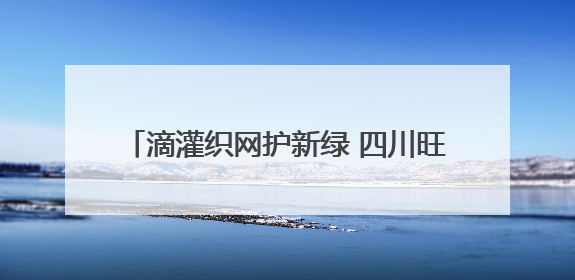 滴灌织网护新绿 四川旺苍茶园抗旱保茶管护忙