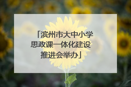 滨州市大中小学思政课一体化建设推进会举办