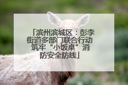 滨州滨城区：彭李街道多部门联合行动 筑牢“小饭桌”消防安全防线