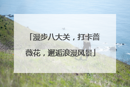 漫步八大关，打卡蔷薇花，邂逅浪漫风景