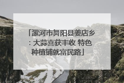 漯河市舞阳县姜店乡：大蒜喜获丰收 特色种植铺就富民路