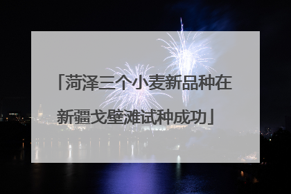 菏泽三个小麦新品种在新疆戈壁滩试种成功