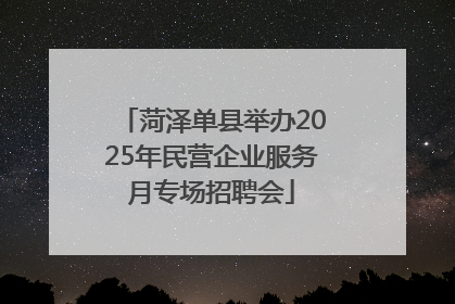 菏泽单县举办2025年民营企业服务月专场招聘会