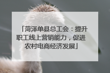 菏泽单县总工会：提升职工线上营销能力，促进农村电商经济发展