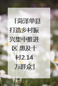 菏泽单县打造乡村振兴集中推进区 惠及十村2.14万群众