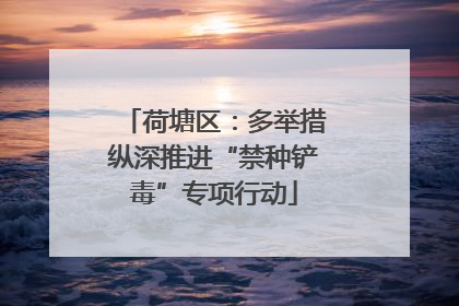 荷塘区：多举措纵深推进“禁种铲毒”专项行动