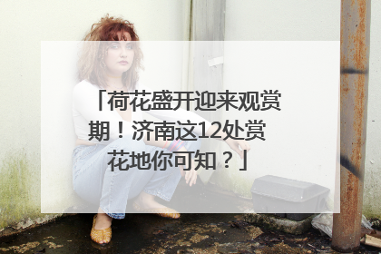 荷花盛开迎来观赏期！济南这12处赏花地你可知？