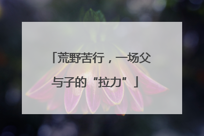 荒野苦行，一场父与子的“拉力”