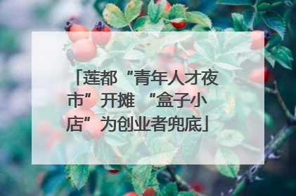 莲都“青年人才夜市”开摊 “盒子小店”为创业者兜底