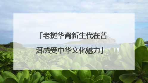 老挝华裔新生代在普洱感受中华文化魅力