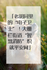 老胡同里的“电子卫士”！大栅栏街道“智慧消防”织就平安网