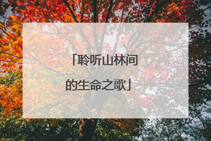 聆听山林间的生命之歌