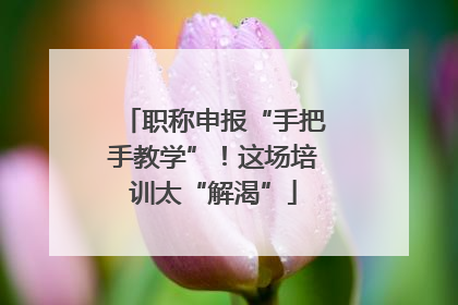 职称申报“手把手教学”！这场培训太“解渴”
