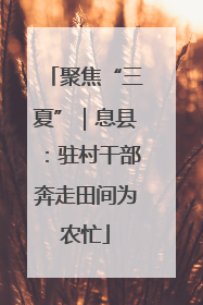 聚焦“三夏”｜息县：驻村干部奔走田间为农忙