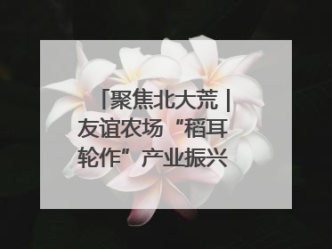 聚焦北大荒｜友谊农场“稻耳轮作”产业振兴“花开两朵”