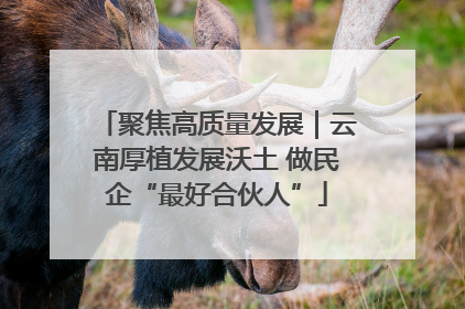 聚焦高质量发展｜云南厚植发展沃土 做民企“最好合伙人”